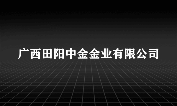 广西田阳中金金业有限公司