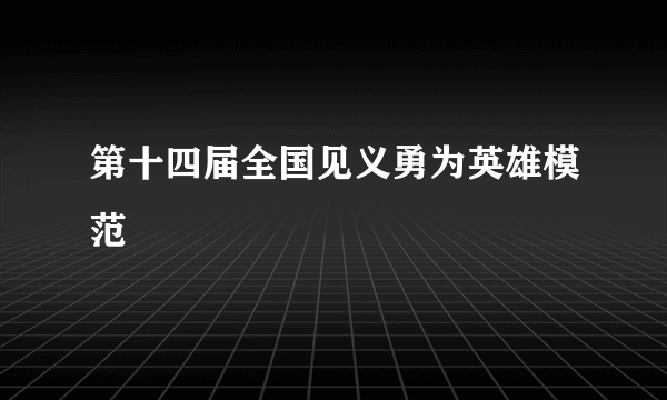 第十四届全国见义勇为英雄模范