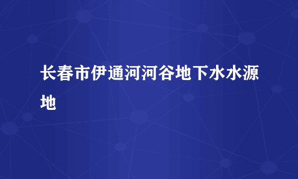 长春市伊通河河谷地下水水源地