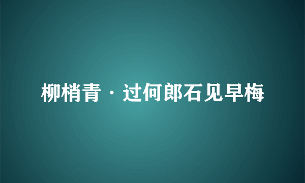 柳梢青·过何郎石见早梅