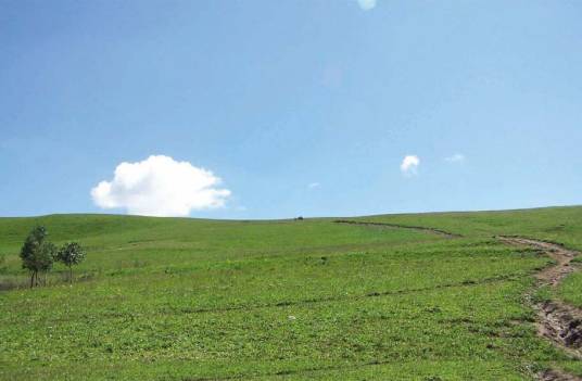 甸子梁空中草原风景区