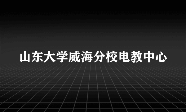 山东大学威海分校电教中心