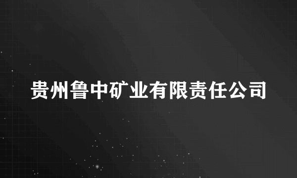 贵州鲁中矿业有限责任公司