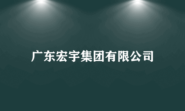 广东宏宇集团有限公司