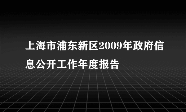 上海市浦东新区2009年政府信息公开工作年度报告