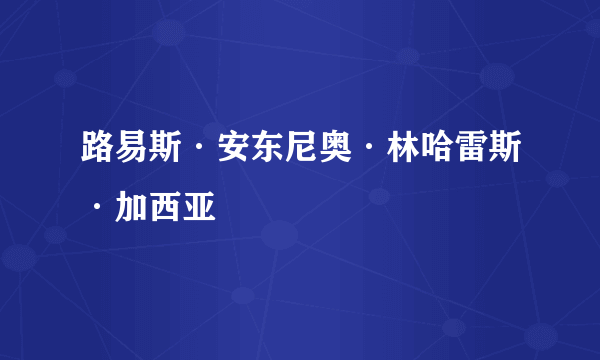 路易斯·安东尼奥·林哈雷斯·加西亚