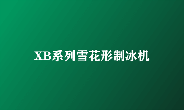 XB系列雪花形制冰机