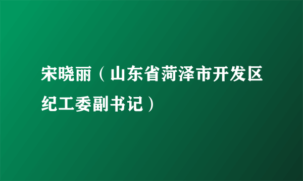 宋晓丽（山东省菏泽市开发区纪工委副书记）