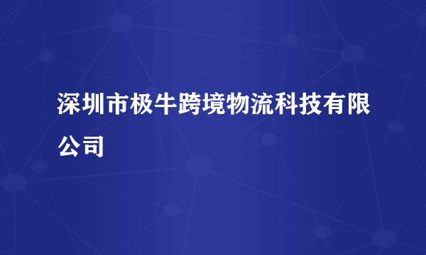 深圳市极牛跨境物流科技有限公司