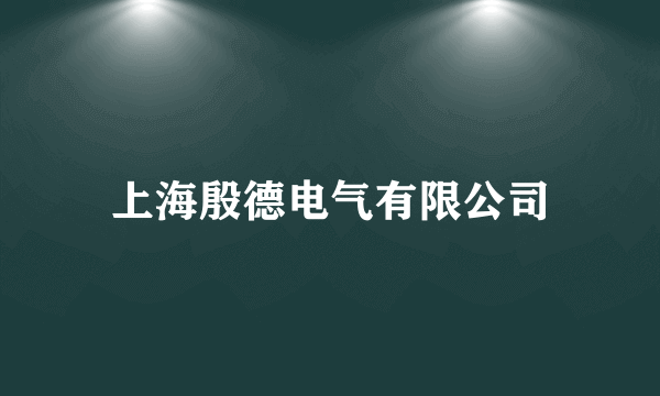 上海殷德电气有限公司