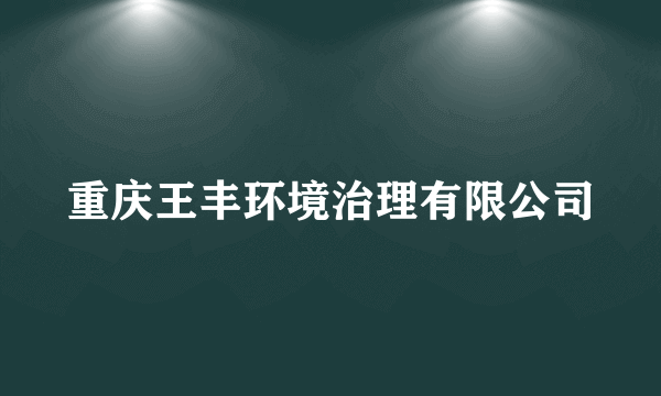 重庆王丰环境治理有限公司