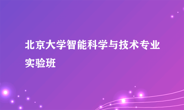 北京大学智能科学与技术专业实验班