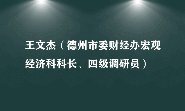 王文杰（德州市委财经办宏观经济科科长、四级调研员）