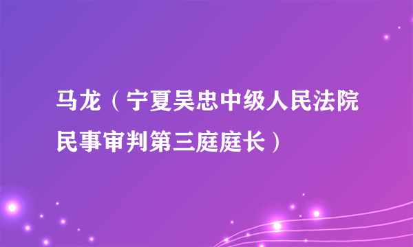 马龙（宁夏吴忠中级人民法院民事审判第三庭庭长）