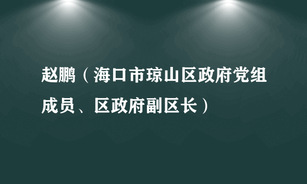 赵鹏（海口市琼山区政府党组成员、区政府副区长）