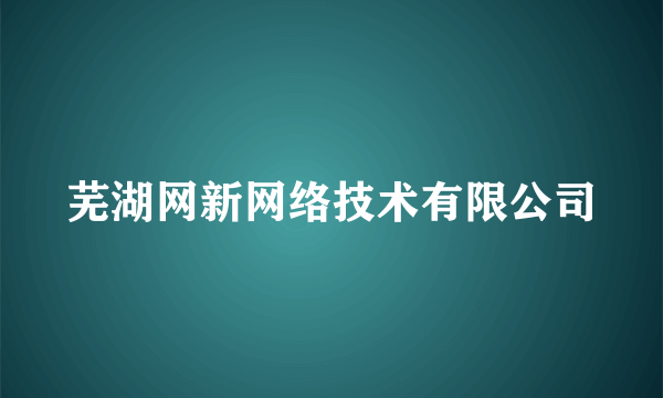 芜湖网新网络技术有限公司