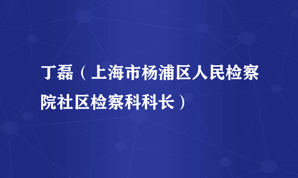 丁磊（上海市杨浦区人民检察院社区检察科科长）