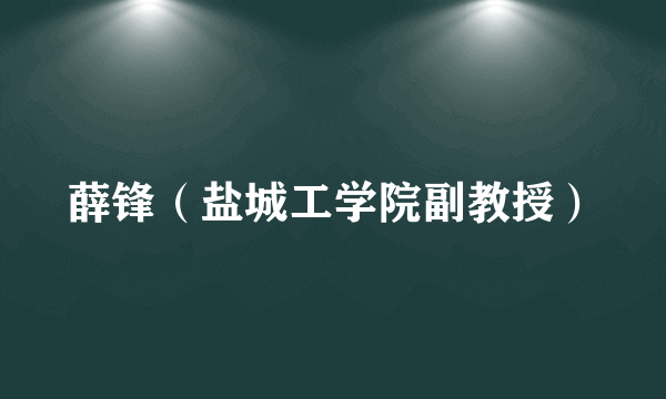 薛锋（盐城工学院副教授）