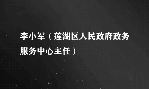 李小军（莲湖区人民政府政务服务中心主任）