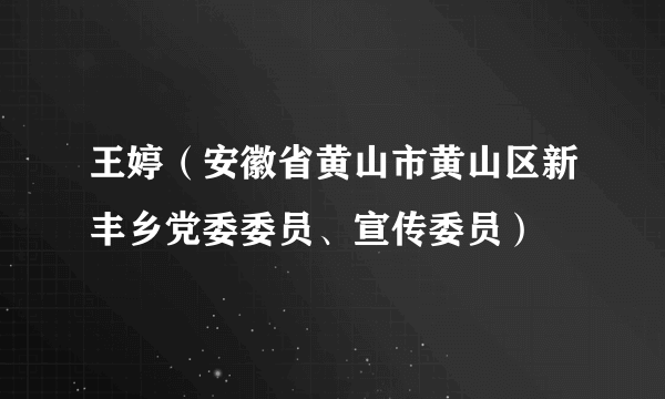 王婷（安徽省黄山市黄山区新丰乡党委委员、宣传委员）