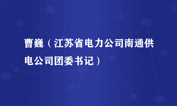 曹巍（江苏省电力公司南通供电公司团委书记）