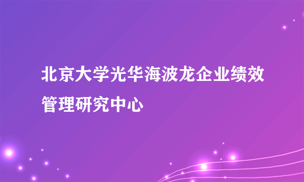 北京大学光华海波龙企业绩效管理研究中心