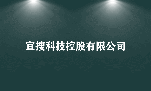 宜搜科技控股有限公司