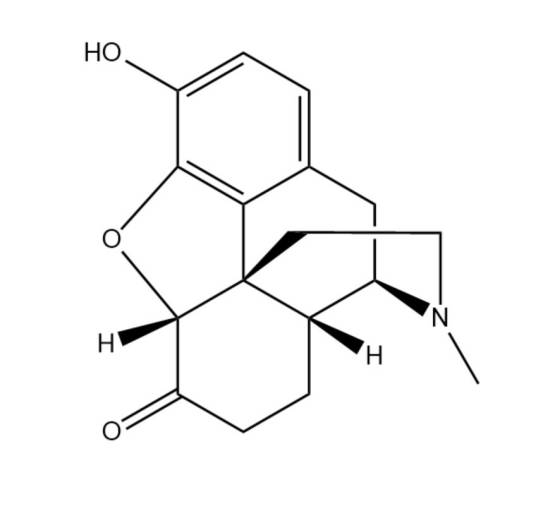 氢吗啡酮