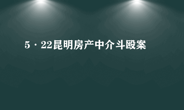 5·22昆明房产中介斗殴案