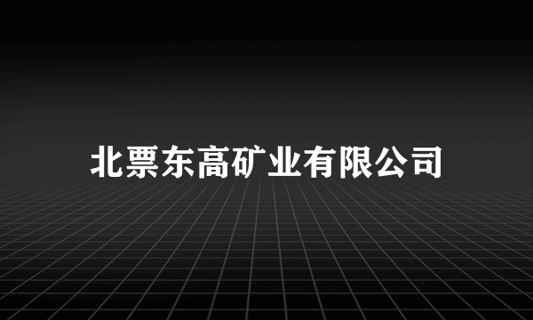 北票东高矿业有限公司