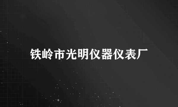 铁岭市光明仪器仪表厂