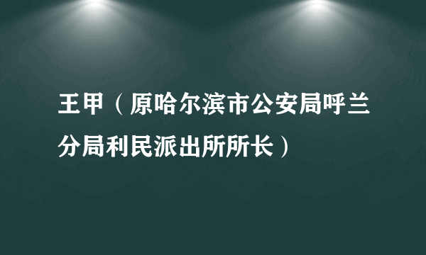 王甲（原哈尔滨市公安局呼兰分局利民派出所所长）