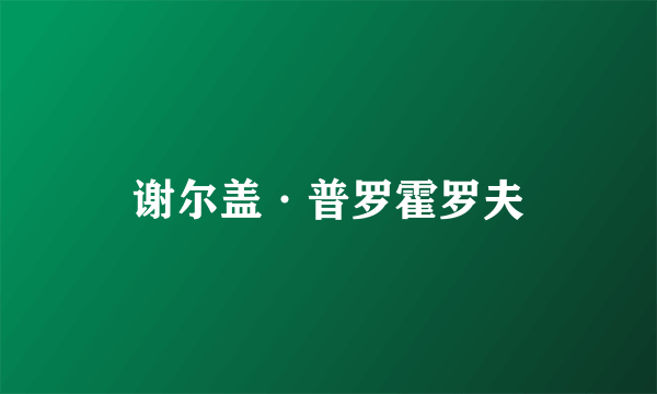 谢尔盖·普罗霍罗夫