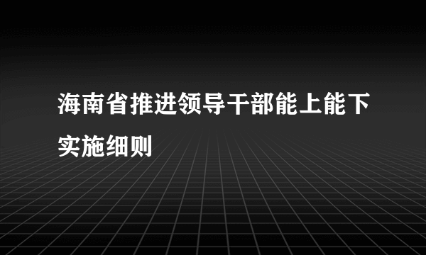 海南省推进领导干部能上能下实施细则