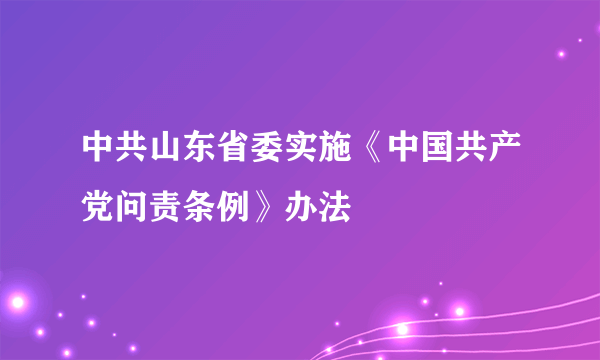 中共山东省委实施《中国共产党问责条例》办法