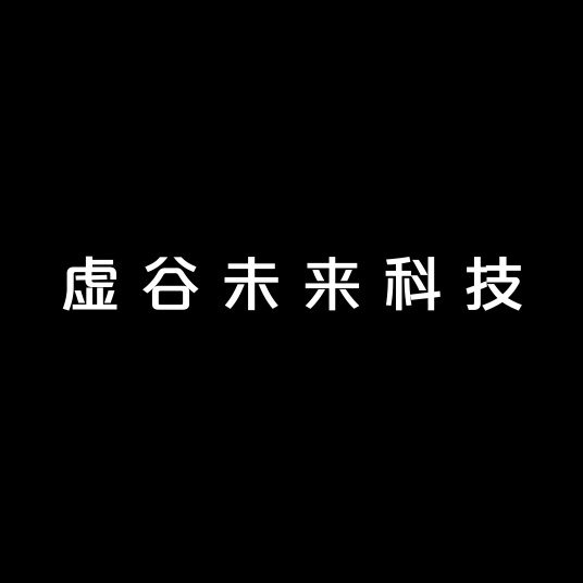 虚谷未来科技（北京）有限公司