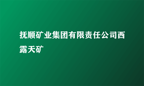 抚顺矿业集团有限责任公司西露天矿