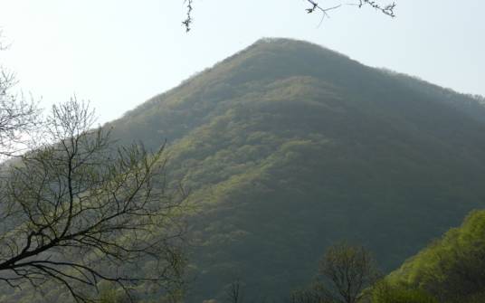 吉林白山原麝国家级自然保护区