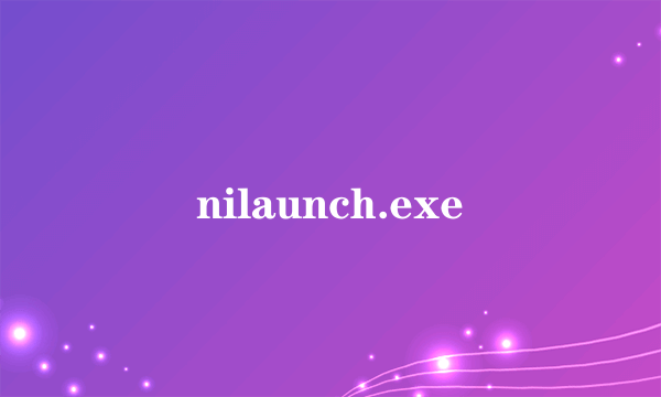 nilaunch.exe