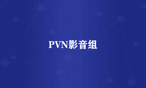 PVN影音组