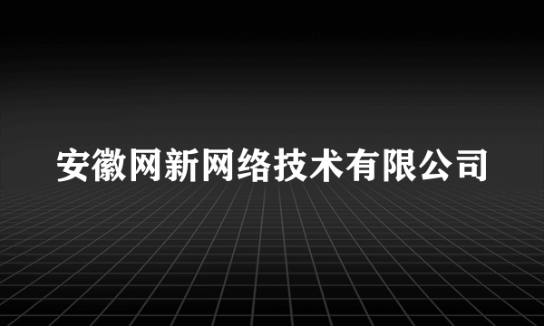 安徽网新网络技术有限公司