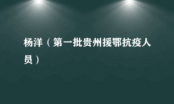 杨洋（第一批贵州援鄂抗疫人员）