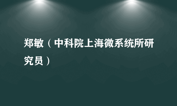 郑敏（中科院上海微系统所研究员）