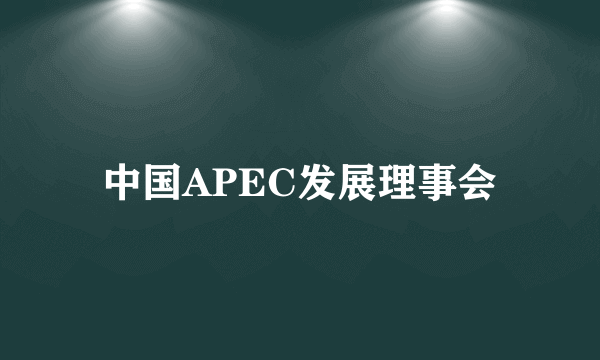 中国APEC发展理事会