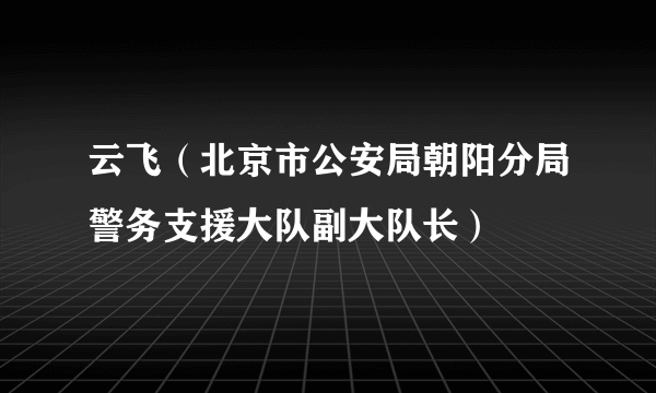 云飞（北京市公安局朝阳分局警务支援大队副大队长）