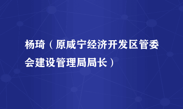 杨琦（原咸宁经济开发区管委会建设管理局局长）