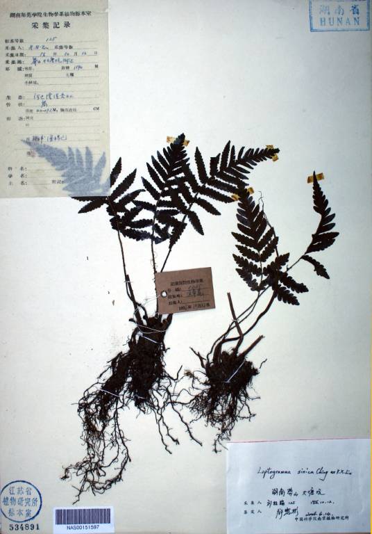 江苏省中国科学院植物研究所标本馆