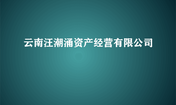 云南汪潮涌资产经营有限公司