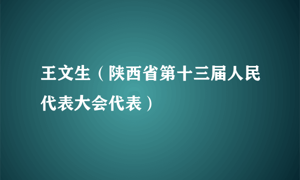 王文生（陕西省第十三届人民代表大会代表）