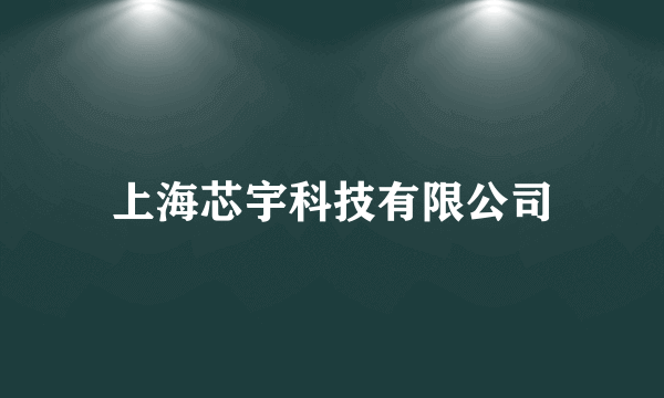 上海芯宇科技有限公司